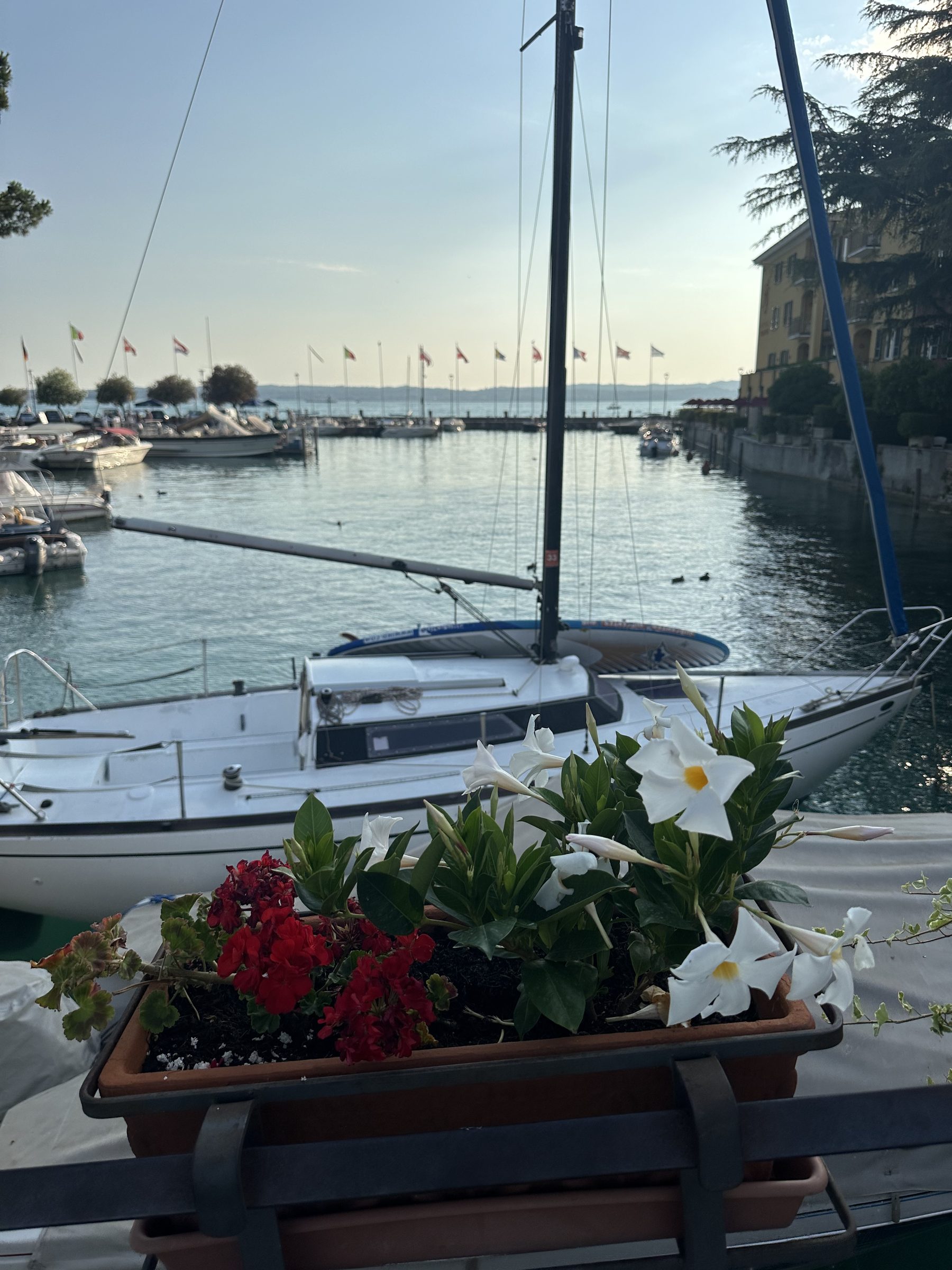 Sailing boats moored on Lake Garda